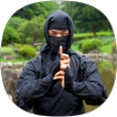 Ninjutsu Guide