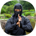 Ninjutsu Guide
