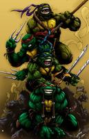 Ninja Turtle Wallpaper پوسٹر