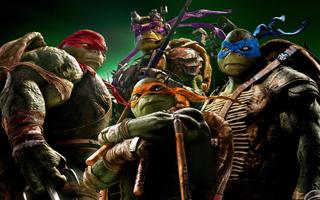 Ninja Turtle Wallpaper syot layar 3