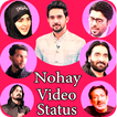 Nohay video status