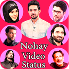 Nohay video status icône