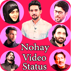 Nohay video status আইকন