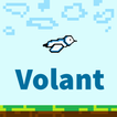 Volant Bird