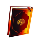 Noor e Quran icône