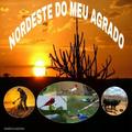 Nordeste do Meu Agrado