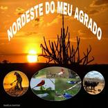 Nordeste do Meu Agrado
