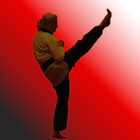 Unite Martial Arts Academy иконка