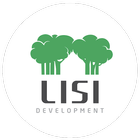 Lisi Green Town icon