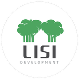 Lisi Green Town icon