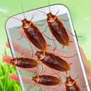 Cockroach on hand funny prank aplikacja