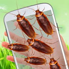 Cockroach on hand funny prank icon