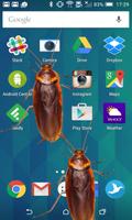 Cockroach on hand funny prank poster