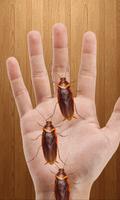 Cockroach on hand funny prank screenshot 1