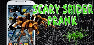 Spider on Hand Scary Prank
