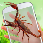 Scorpion sur la farce de main icône