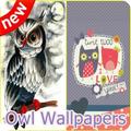 Owl Wallpapers