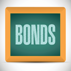 ikon purpose of bail bond guide