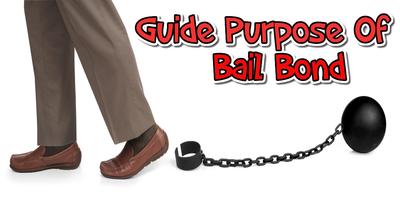 purpose of bail bond guide poster