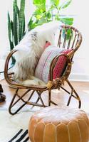 برنامه‌نما Living Room Decor عکس از صفحه