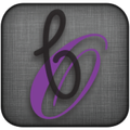 OBB TimLog Manager