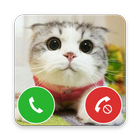 Little Cat Fake Call icône