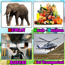 Mengenal Hewan, Buah-buahan, Profesi, Transportasi APK