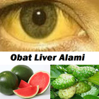 Natural Liver Drugs 아이콘