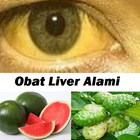 Natural Liver Drugs আইকন