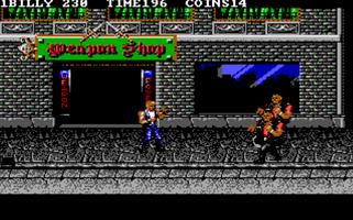 Double Dragon 3 capture d'écran 3