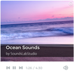 ”Ocean Sounds