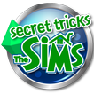 Secret Tricks For New The Sims