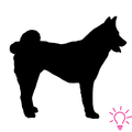 Perro Negro