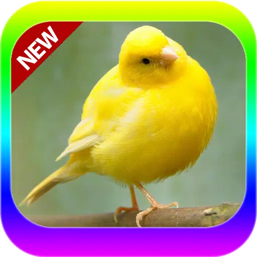 Oisseaux Des Canaries Border Mp3 APK pour Android Télécharger