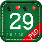 29 Card Game Pro ikon