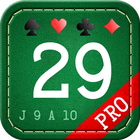 29 Card Game Pro icône
