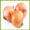 APK New Onion Onet Connect Game