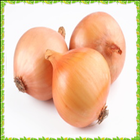 New Onion Onet Connect Game ícone