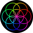 Coldplay : Hypnotised