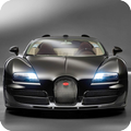 City Car Driving Simulator