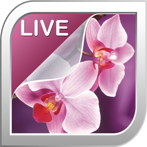 Orchid Live Wallpaper