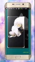 Orchid Wallpapers screenshot 3