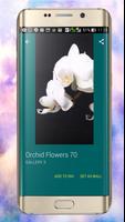 Orchid Wallpapers ảnh chụp màn hình 2