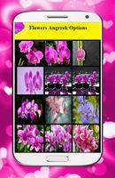 Orchid Flower Wallpaper Plakat
