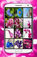 Orchid Flower Wallpaper capture d'écran 2