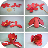 Origami Flower Instruction icône