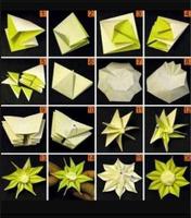 Origami Flower Instruction स्क्रीनशॉट 3