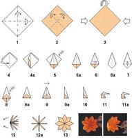 Origami Flower Instruction Affiche