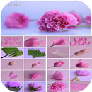 Origami-Blumen-Tutorial APK