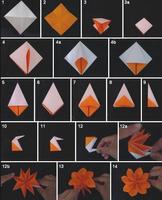 Origami Fleur Tutorial Affiche